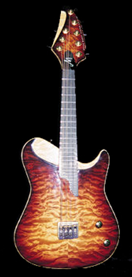 iGuitar Inc. (Formerly Brian Moore Custom Guitars) P-5 Image