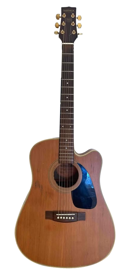 SAMICK ACOUSTIC: ARTIST DREADNOUGHT SERIES Models