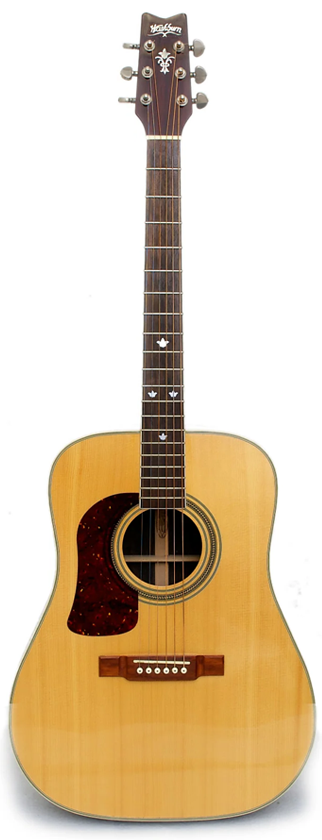 WASHBURN D21 S LH for sale - Price and Used Value